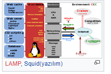 LAMP, Squid (yazılım)