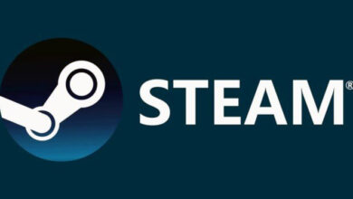 Steam Platformu