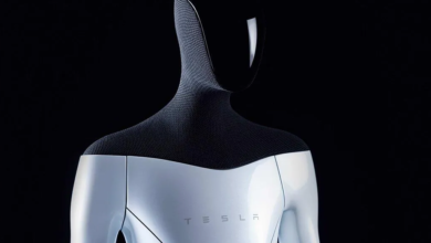 Tesla'nın İnsansı Robotları