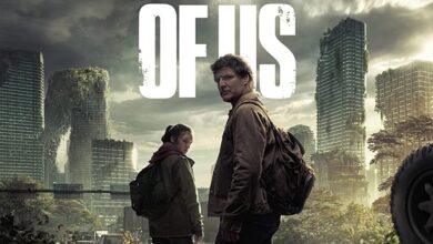 Last of Us Poster