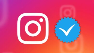 Instagram Mavi Tik Nedir?