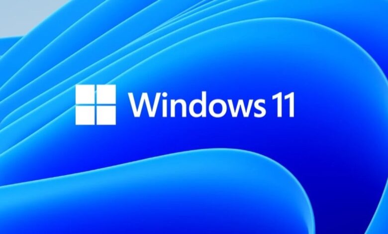 Windows 11